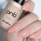 Гел лак PNB 8 мл 290